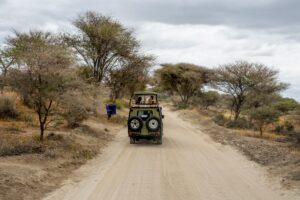 Read more about the article What you need to know about Safari in TANZANIA !!!